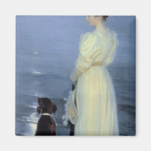 Sommer-Abend bei Skagen Magnet