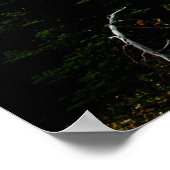 Sommer am Berg Rainier Poster (Ecke)