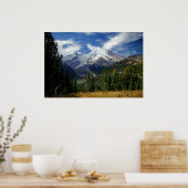 Sommer am Berg Rainier Poster (Küche)