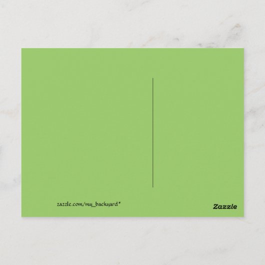 Sommer am Wylie See! Postkarte (Rückseite)