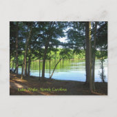 Sommer am Wylie See! Postkarte (Vorderseite)