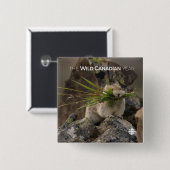 Sommer - Amerika - Pica Button (Vorne & Hinten)