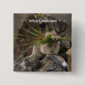 Sommer - Amerika - Pica Button (Vorderseite)