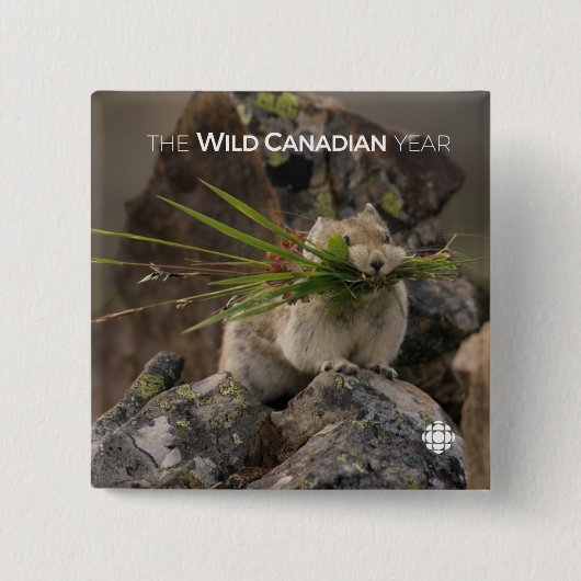 Sommer - Amerika - Pica Button (Vorderseite)