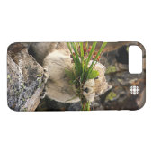 Sommer - Amerika - Pica Case-Mate iPhone Hülle (Rückseite (Horizontal))