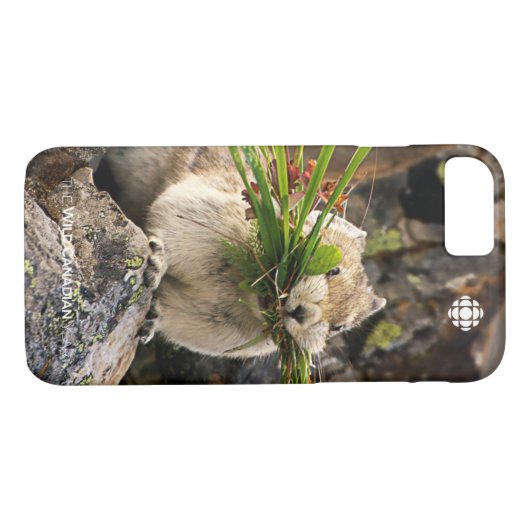 Sommer - Amerika - Pica Case-Mate iPhone Hülle (Rückseite (Horizontal))