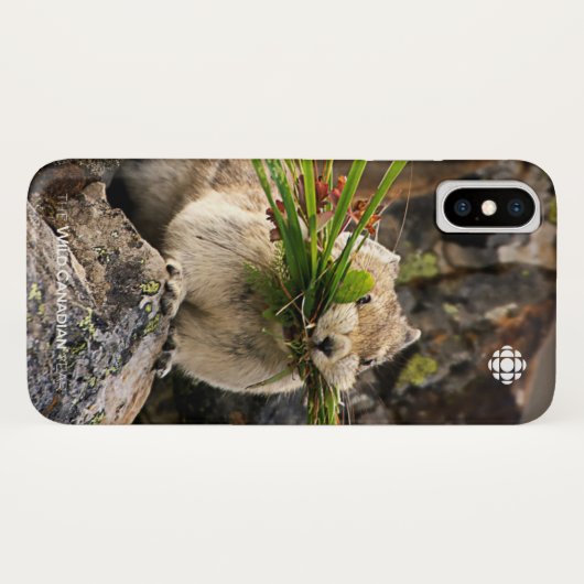 Sommer - Amerika - Pica Case-Mate iPhone Hülle (Rückseite (Horizontal))