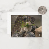 Sommer - Amerika - Pica Mitteilungskarte (Vorderseite/Rückseite Beispiel)