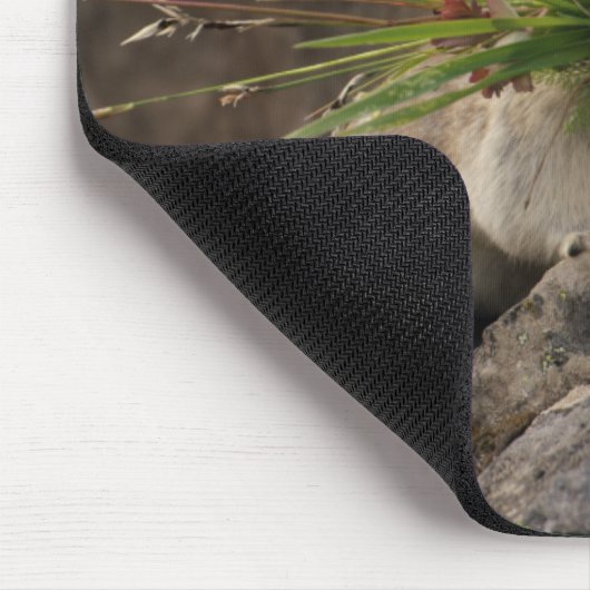 Sommer - Amerika - Pica Mousepad (Ecke)