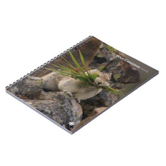 Sommer - Amerika - Pica Notizblock (Linke Seite)