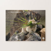 Sommer - Amerika - Pica Puzzle (Horizontal)