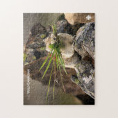 Sommer - Amerika - Pica Puzzle (Vertikal)