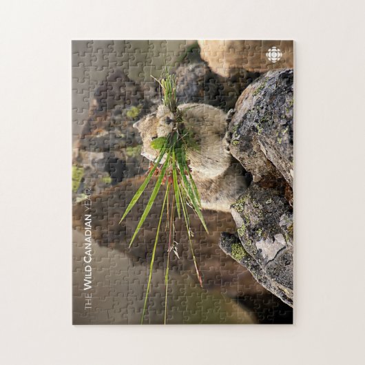 Sommer - Amerika - Pica Puzzle (Vertikal)