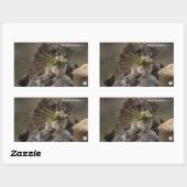 Sommer - Amerika - Pica Rechteckiger Aufkleber (Blatt)