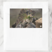 Sommer - Amerika - Pica Rechteckiger Aufkleber (Tasche)