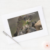 Sommer - Amerika - Pica Rechteckiger Aufkleber (Umschlag)