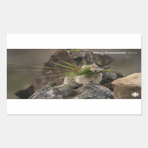 Sommer - Amerika - Pica Rechteckiger Aufkleber