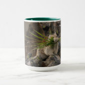 Sommer - Amerika - Pica Tasse (Zentrum)