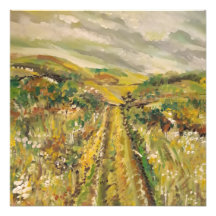 Sommer auf den Hügeln