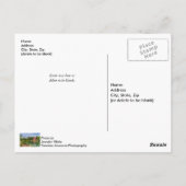 Sommer bei War Eagle Mill Postkarte (Rückseite)