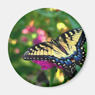 Sommer-Besucher Magnet