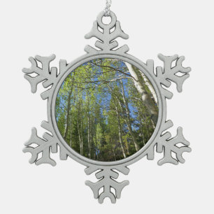 Sommer-Birken im Rocky Mountain Schneeflocken Zinn-Ornament