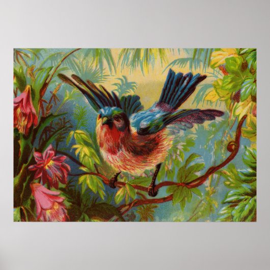 Sommer Blaue Vogel Klein Poster (Vorne)