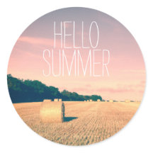 Sommer-Bliss in der englischen Landschaft