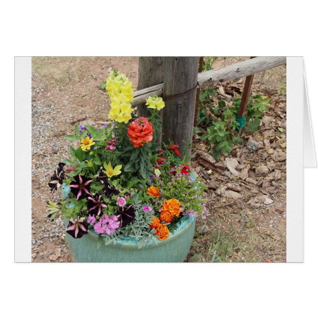 Sommer-Blumen im Türkis-Topf (Vorderseite (Horizontal))