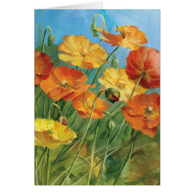 Sommer-Blumenfeld (Vorne)