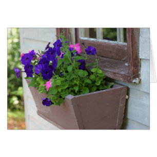 Sommer-Blumenkasten - leere Karte