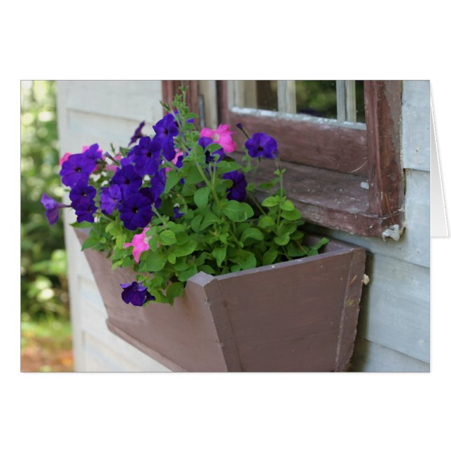 Sommer-Blumenkasten - leere Karte (Vorderseite (Horizontal))