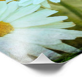 Sommer-Daisy-Foto-Erweiterung Fotodruck (Ecke)