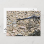 Sommer des Lebens Postkarte (Vorne/Hinten)