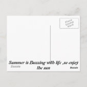 Sommer des Lebens Postkarte (Rückseite)