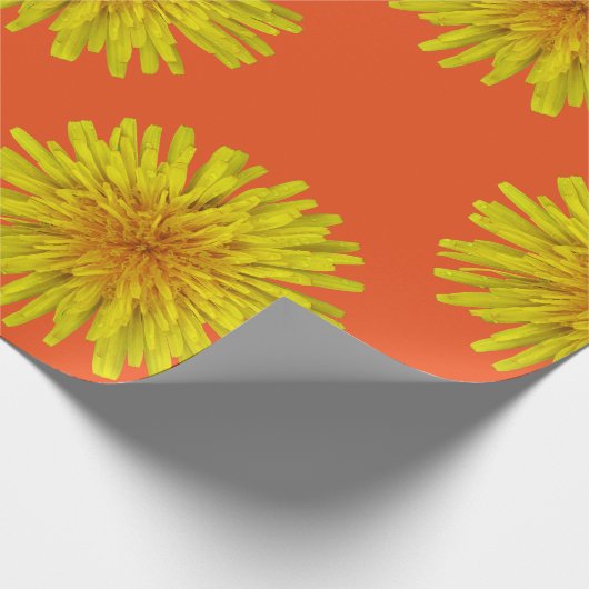 Sommer-enorme gelbe Löwenzahn-Blume auf Geschenkpapier (Ecke)