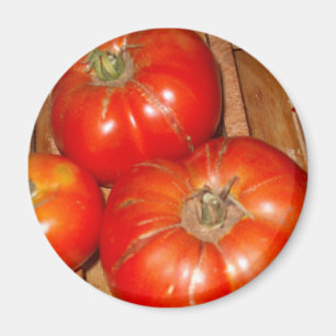 "Sommer-Ernte " Magnet