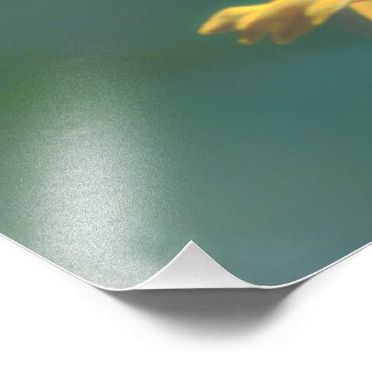 Sommer Fotodruck (Ecke)