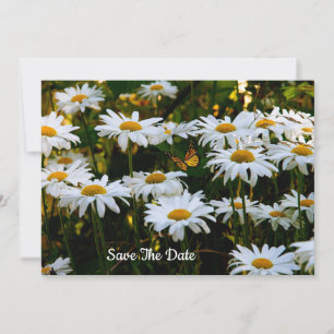 Sommer-Gänseblümchen Save The Date Einladung