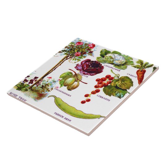 Sommer-Garten Botanicals Fliese (Seite)
