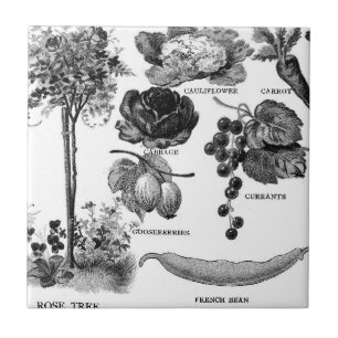 Sommer-Garten Botanicals in Schwarzem u. im Weiß Fliese