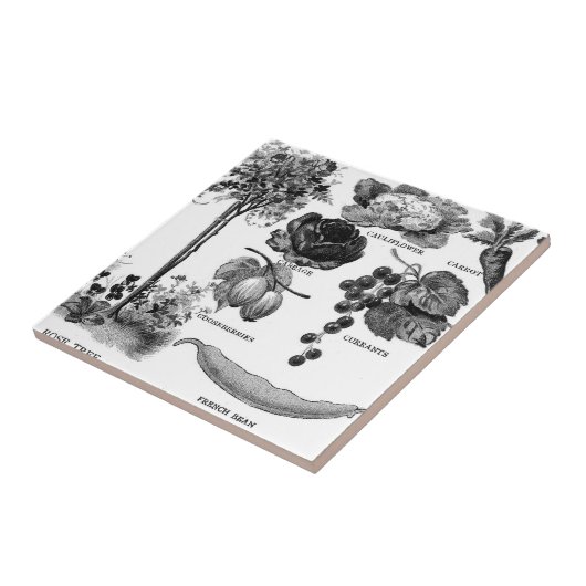 Sommer-Garten Botanicals in Schwarzem u. im Weiß Fliese (Seite)