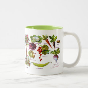 Sommer-Garten Botanicals Zweifarbige Tasse