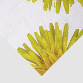 Sommer-gelbe Löwenzahn-Blume auf irgendeiner Farbe Seidenpapier (Detail)