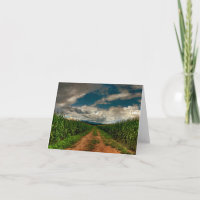Sommer-Getreidefeld-freier Raum Notecard