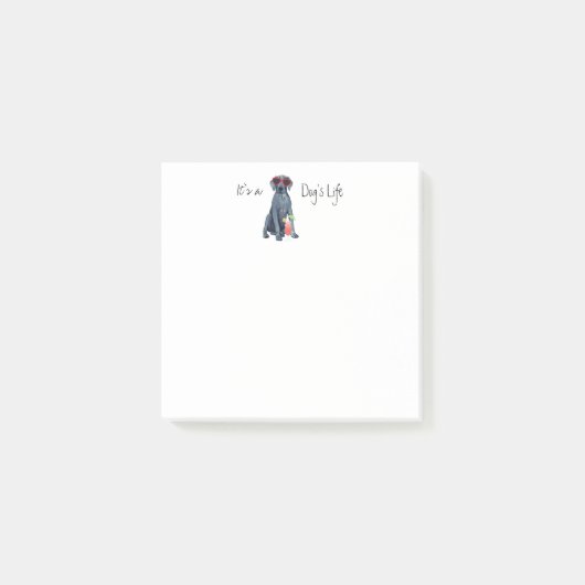 Sommer Großes Dan Post-it-Notizen Post-it Klebezettel (Vorderseite)