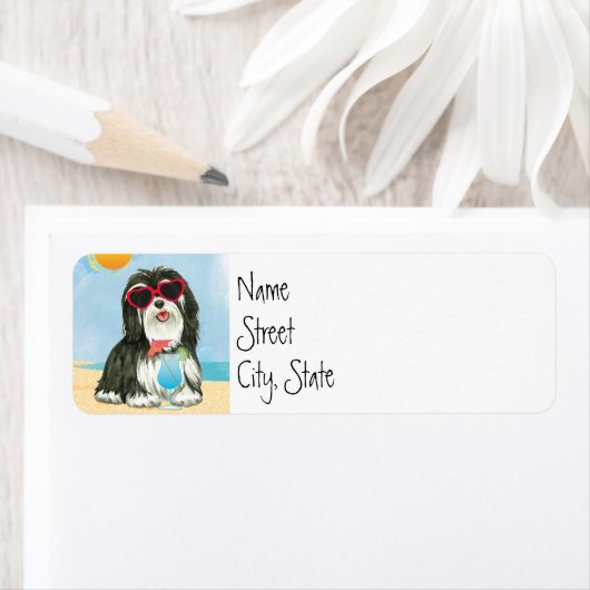 Sommer Havanese (Insitu)