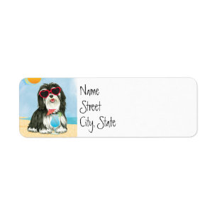 Sommer Havanese