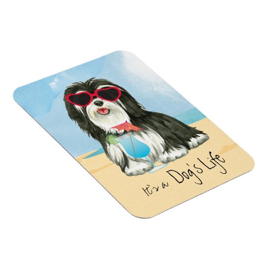 Sommer Havanese Magnet (Rechte Seite)