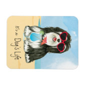 Sommer Havanese Magnet (Horizontal)